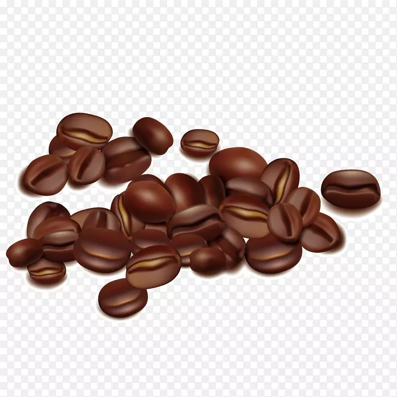 咖啡豆种子.载体咖啡豆