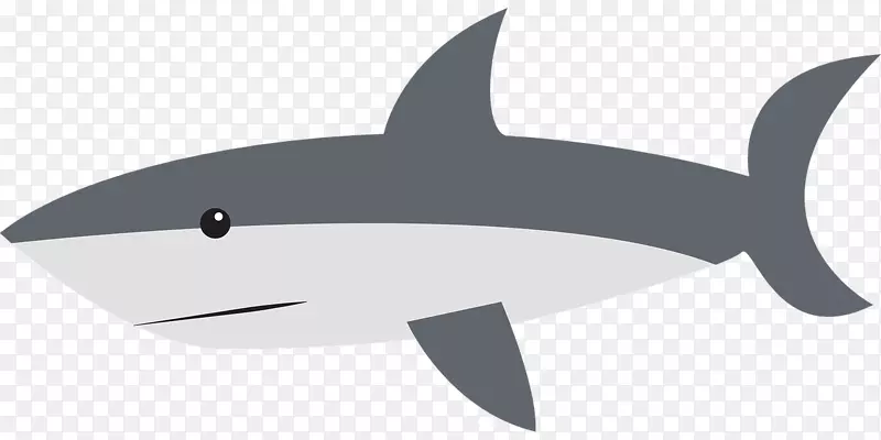 虎鲨画夹艺术-游泳鲨鱼
