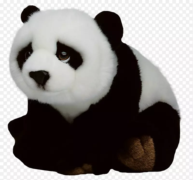大熊猫-大熊猫