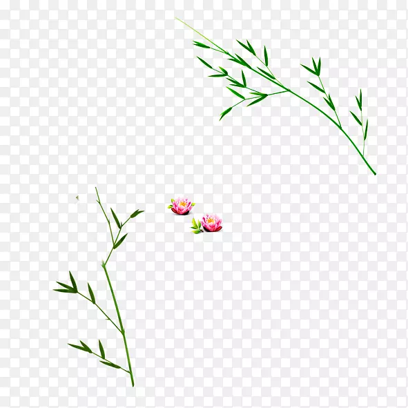 花卉图案花瓣图案-竹子