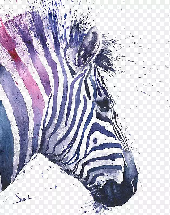 开普敦山斑马水彩画艺术-斑马