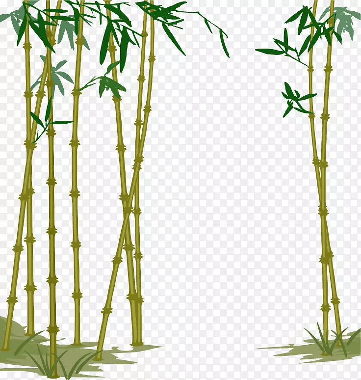 竹子手绘竹