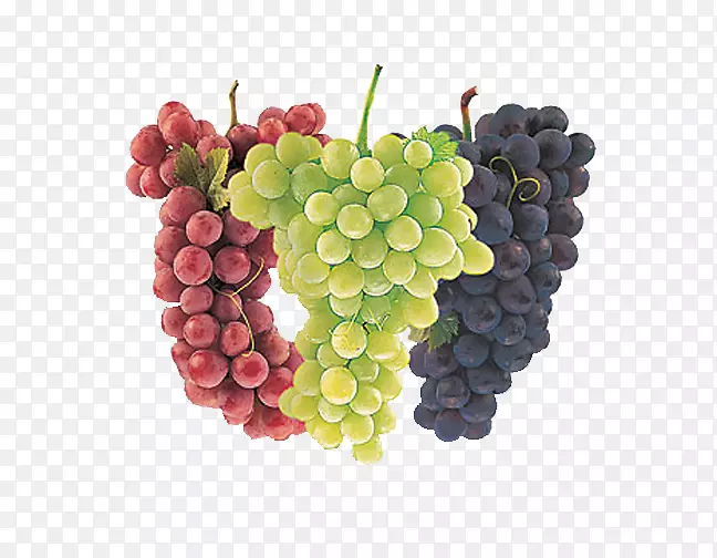 普通葡萄汁品种-Trible葡萄