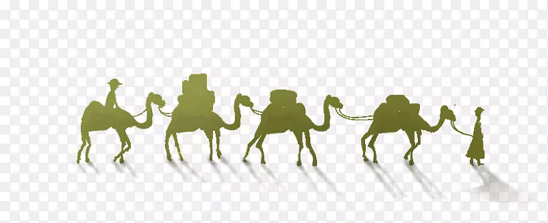 骆驼一带一路倡议海上丝绸之路马-可爱卡通骆驼