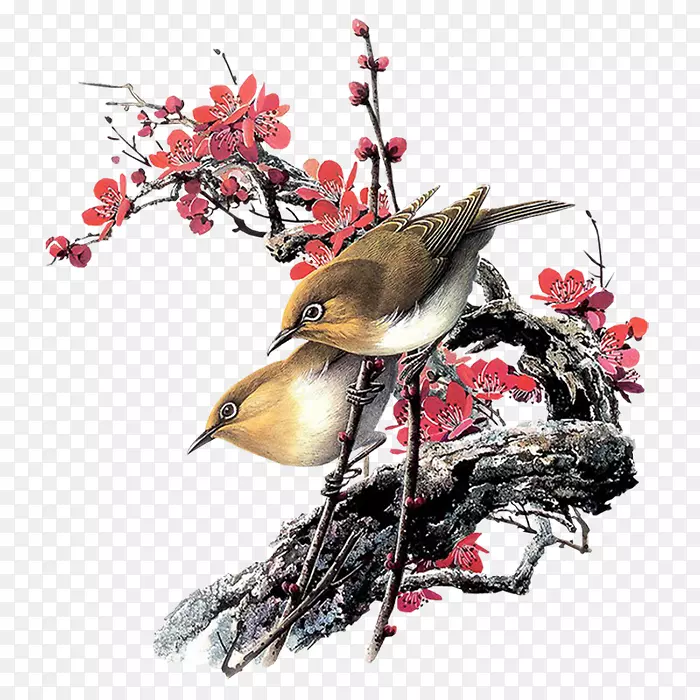 鸟水彩画画-鸟巢