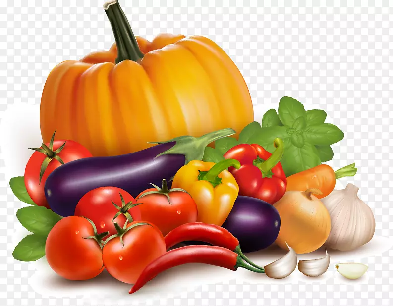 蔬菜版税-免费插图-美丽的南瓜新鲜蔬菜载体材料