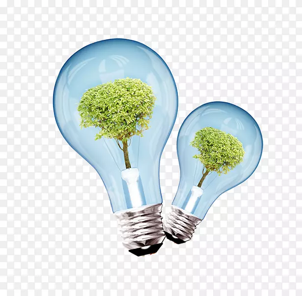 光能节约环境影响评估蓝鲜球植物装饰图案