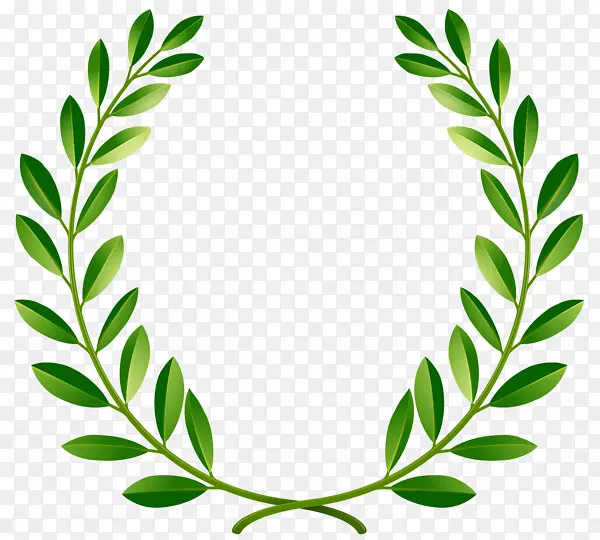 海湾月桂花环剪贴画-绿色和平橄榄枝