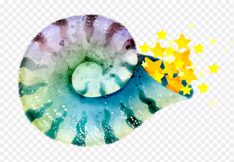 生物特写海螺