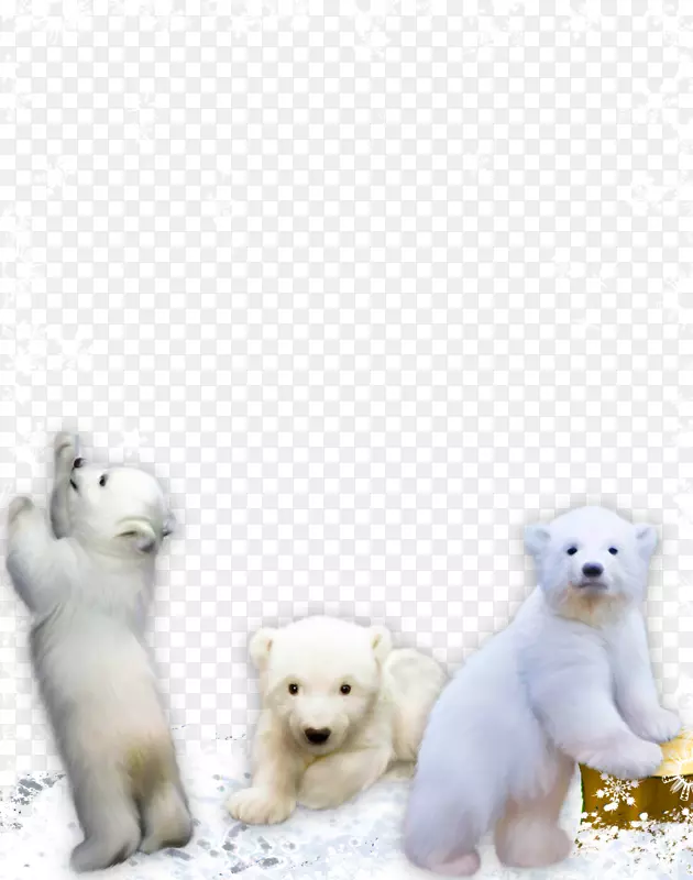 西部高原白色猎犬大熊猫犬种