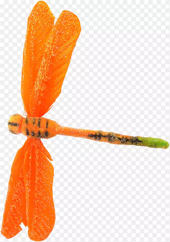 昆虫会付钱的，法国！Bannixe8res博客剪辑艺术-橙色蜻蜓