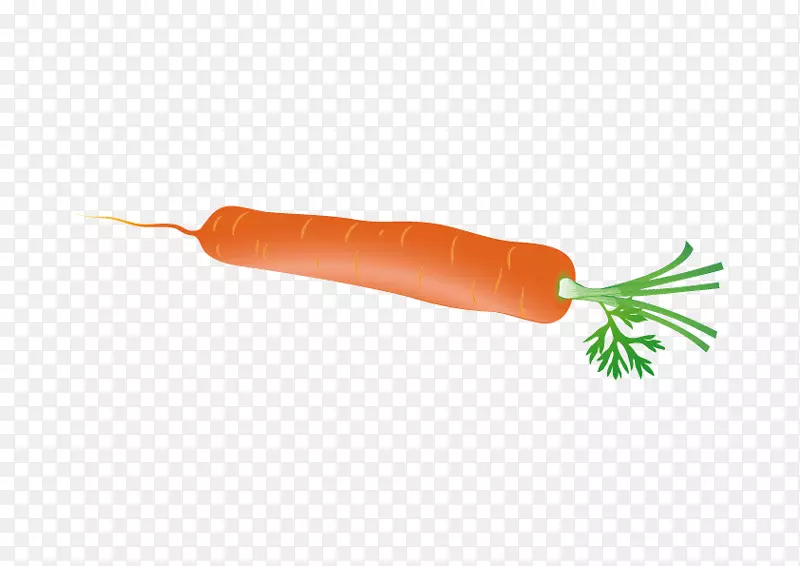 胡萝卜，萝卜-胡萝卜