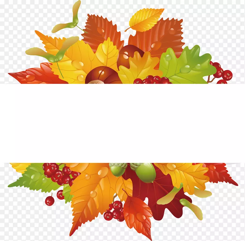 秋叶颜色剪贴画-美丽的秋叶标签