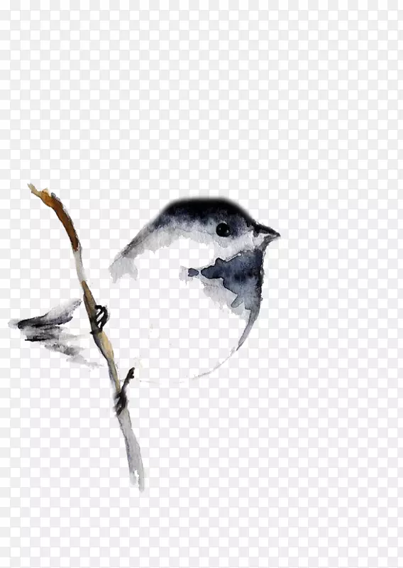 鸟类水彩画纹身画.灰麻雀