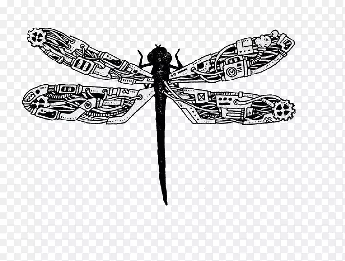 蒸汽朋克艺术家绘画插图-创造性手绘机械元件蜻蜓