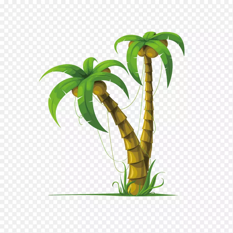 椰子树-槟榔科绘画摄影.椰子树