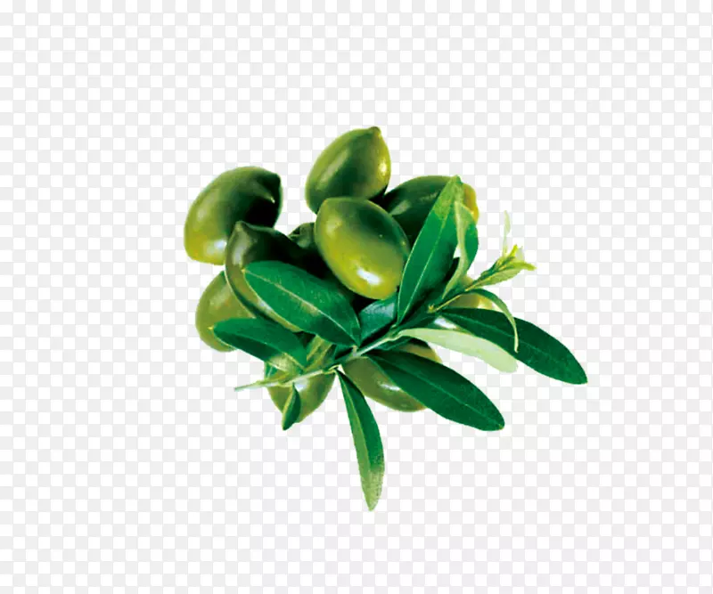 橄榄油广告海报-橄榄