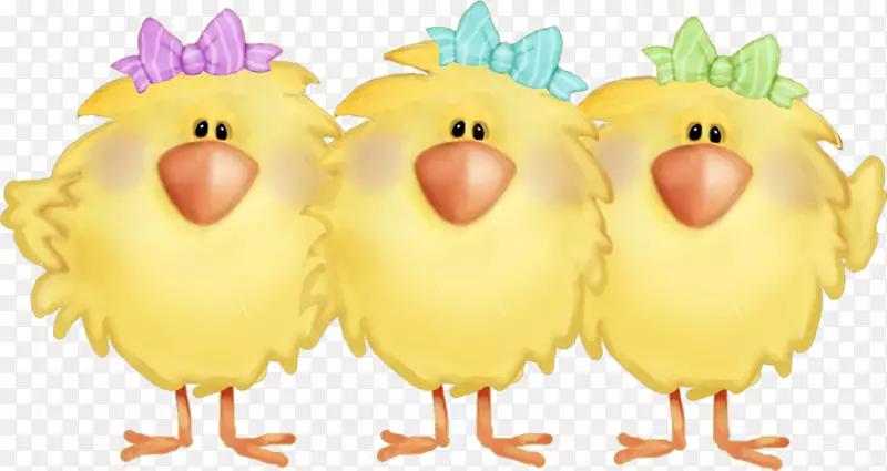 鸡画夹艺术-卡通可爱小鸡