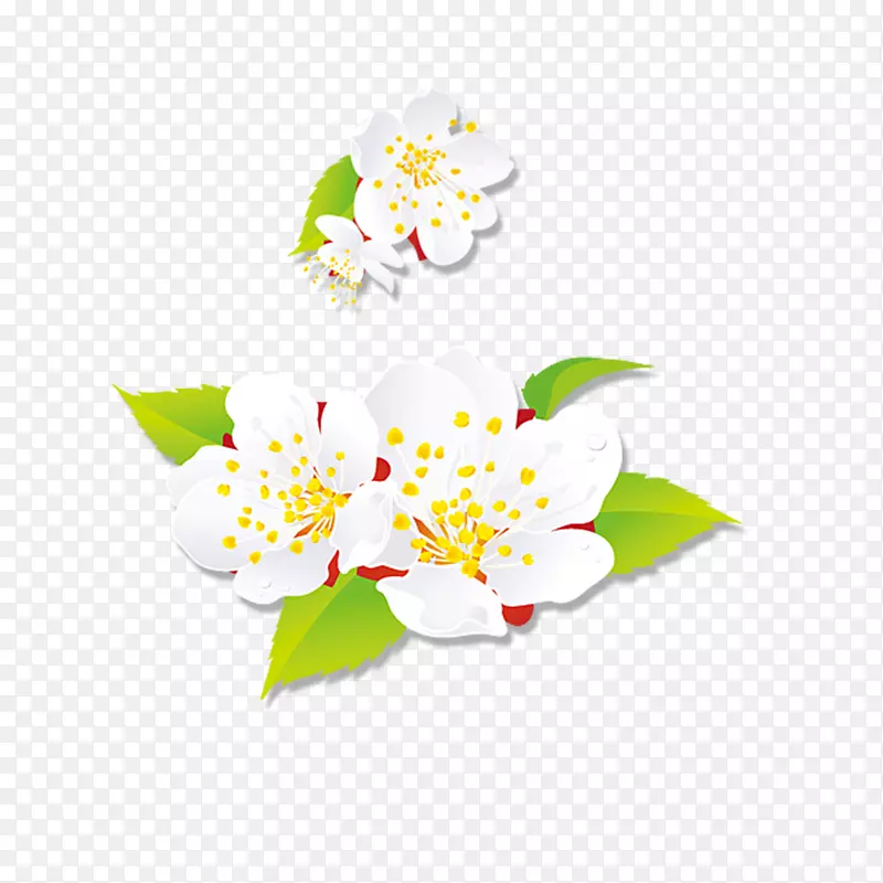 艺术花卉设计新年快乐-白桃花