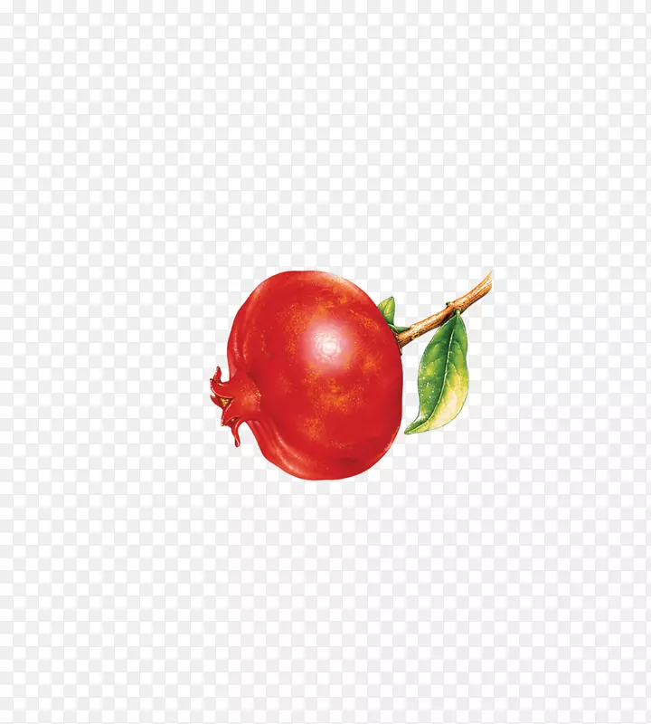番茄樱桃红果石榴