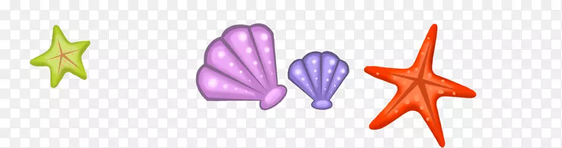 海星海螺生物学欧式海螺壳