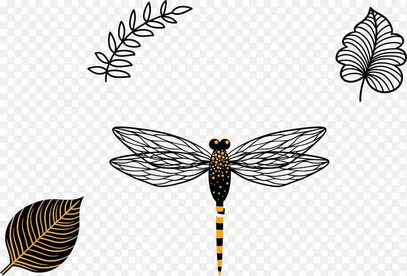 蝴蝶昆虫翅膀黑白媒介蜻蜓