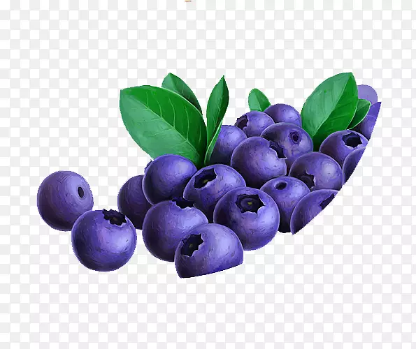 越橘果实蓝莓花青素-紫红色堆蓝莓