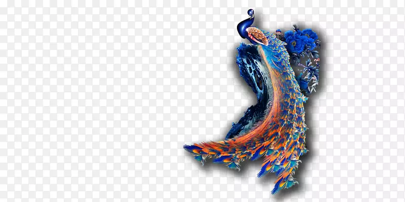 鸟类图形设计孔雀凤凰孔雀