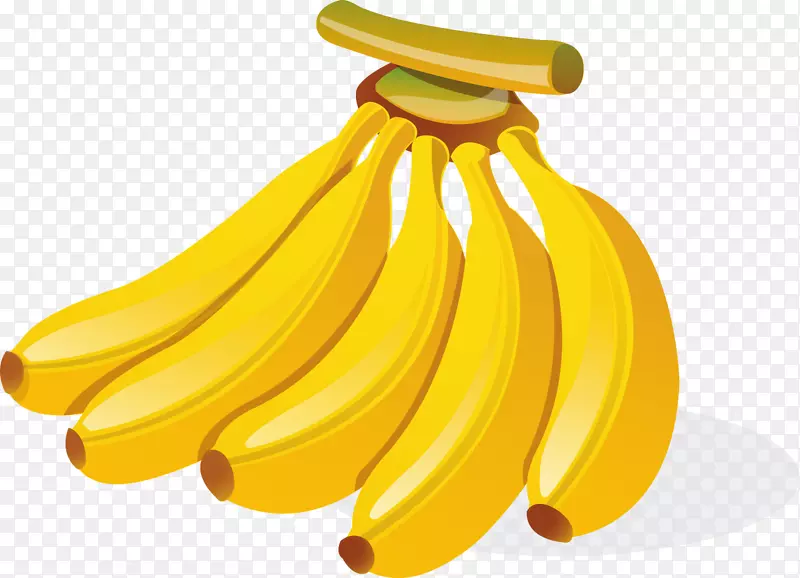 香蕉卡通插图.手绘的金色成熟香蕉束