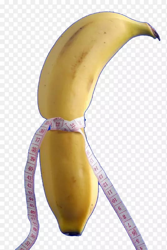 香蕉汁水果-一种由尺子塑造的香蕉。