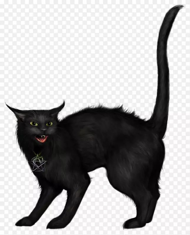 黑猫万圣节剪贴画-女巫猫