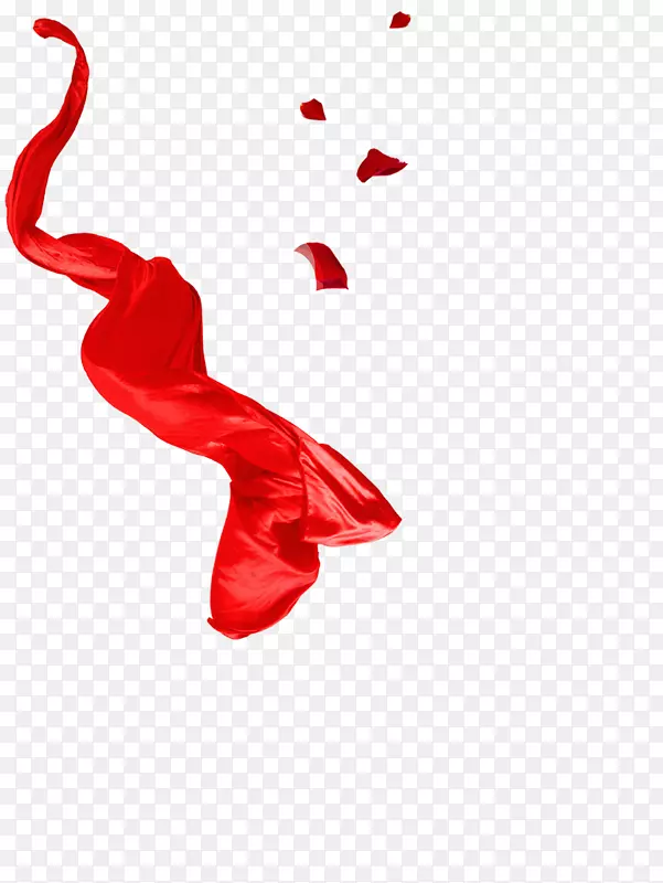 红色临川区标志-红色缎子