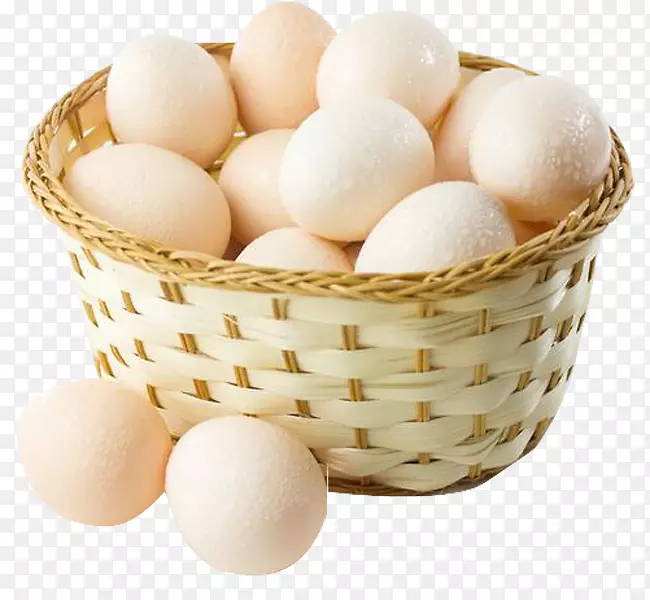 牛奶食品鸡蛋营养食用-蛋粉
