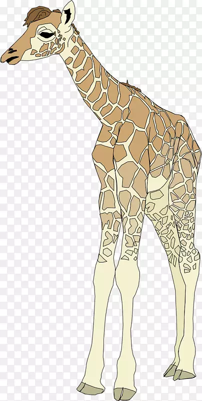 长颈鹿剪贴画-强壮的鹿