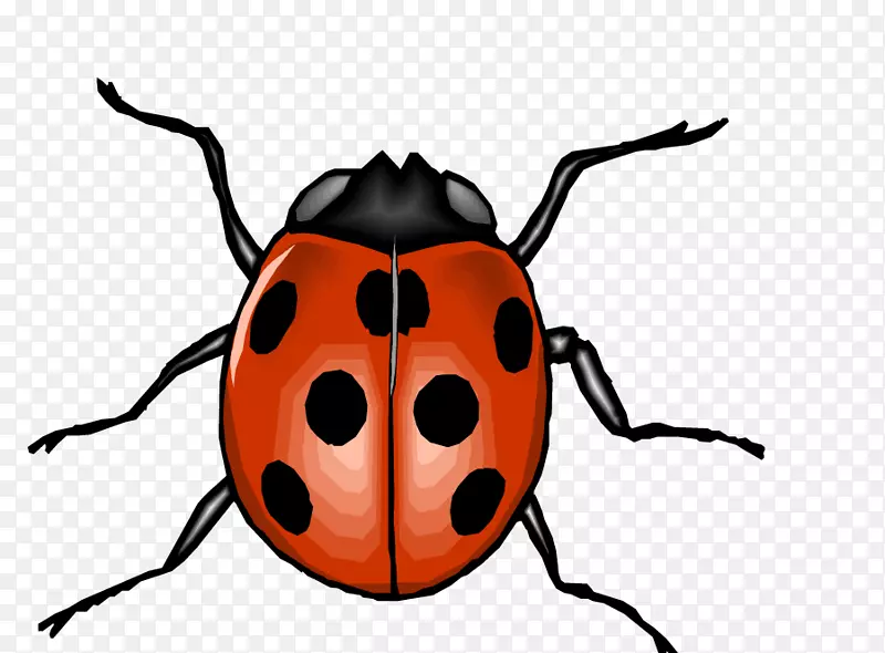 甲虫剪贴画-红色卡通瓢虫