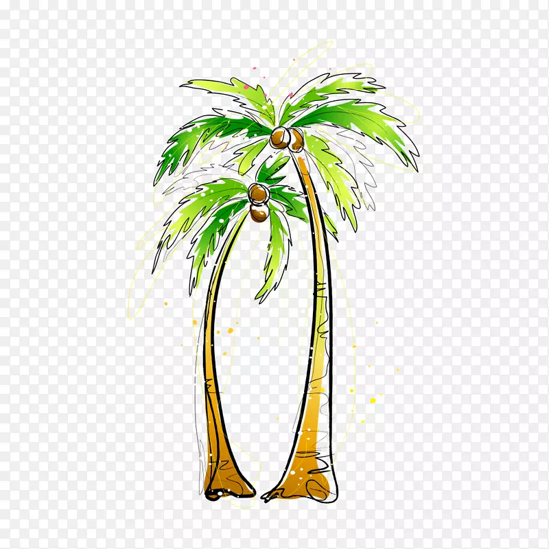 槟榔科椰子画插图-椰子树