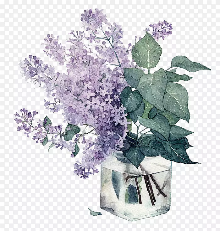 水彩：花纸水彩画插图-玻璃植物