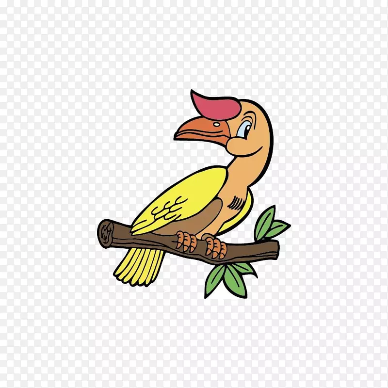 鸟嘴卡通插图-红色冠鸟上的树枝