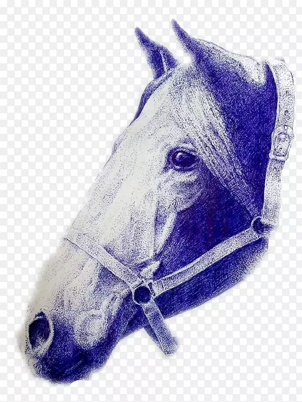 马插图-手绘马