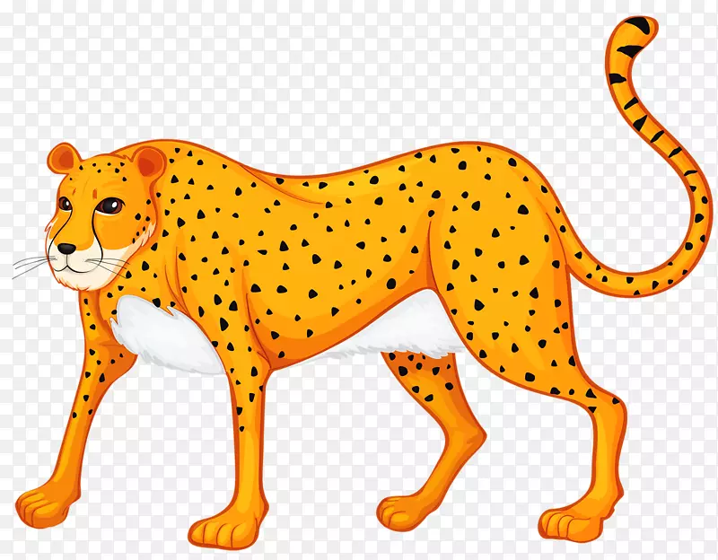 狮子长颈鹿，豹子，犀牛，动物-豹子