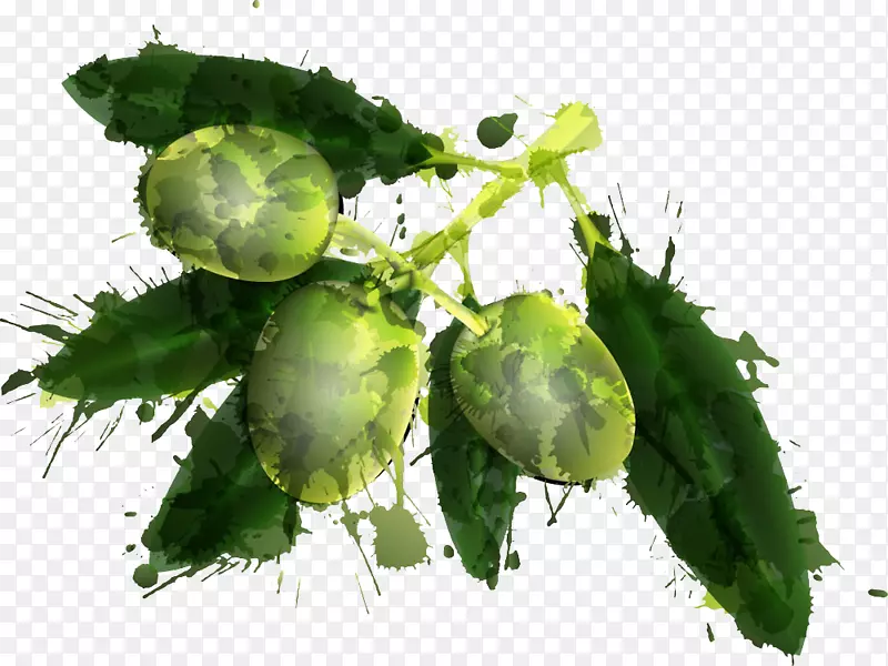 葡萄酒橄榄油剪辑艺术.绿色橄榄和绿叶插图