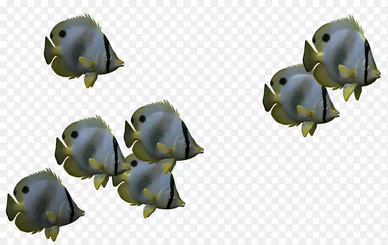 鱼三维计算机图形图标-生物3D鱼，卡通鱼