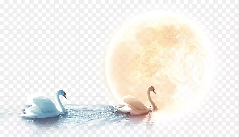 雪尼尼中秋节-月亮下的天鹅