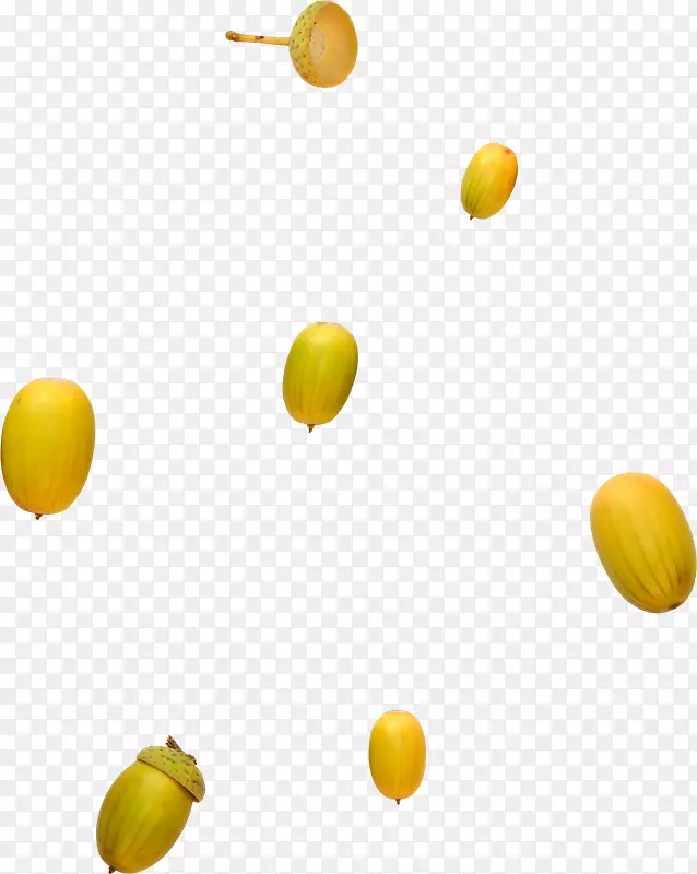 柠檬橙水果-浮动橡子