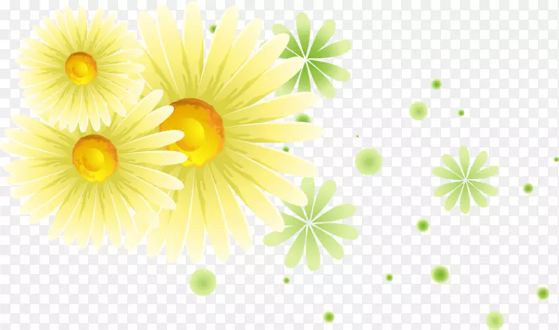 水彩画花卉设计-菊花