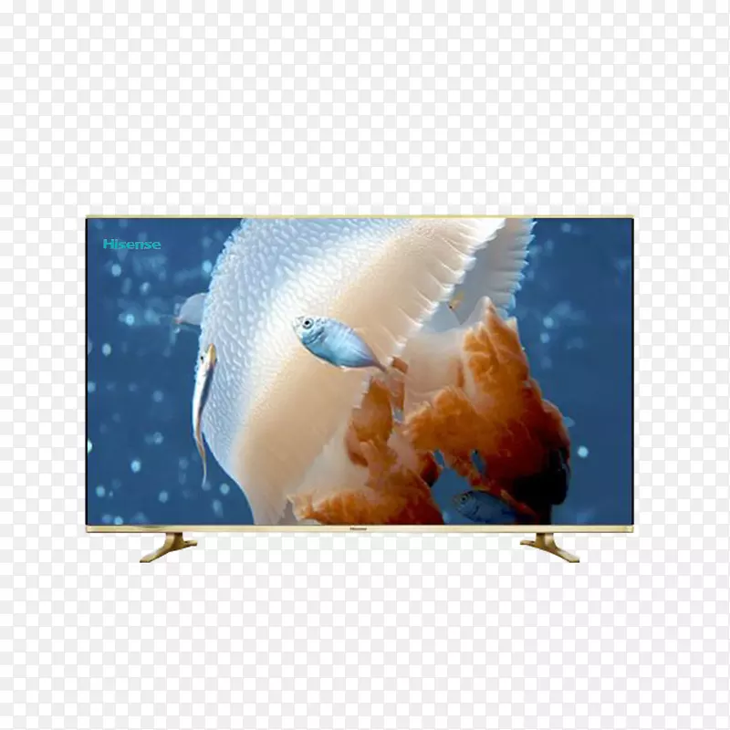 水母水下摄影海洋-海信电视