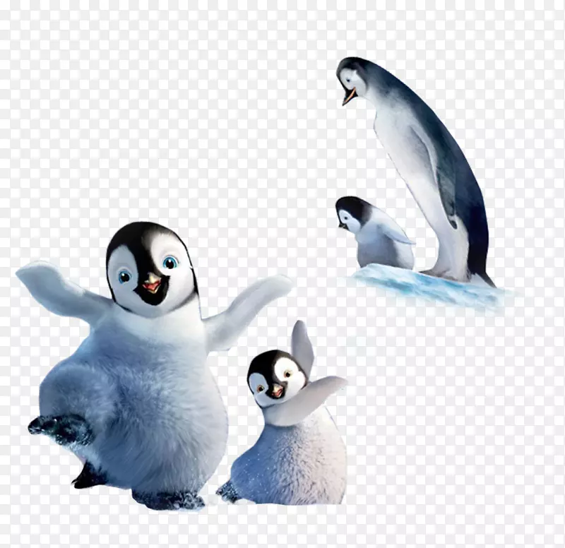 企鹅-可爱的小企鹅