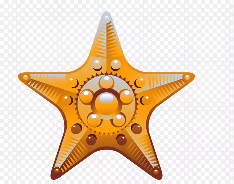 海贝壳海螺剪贴画金星