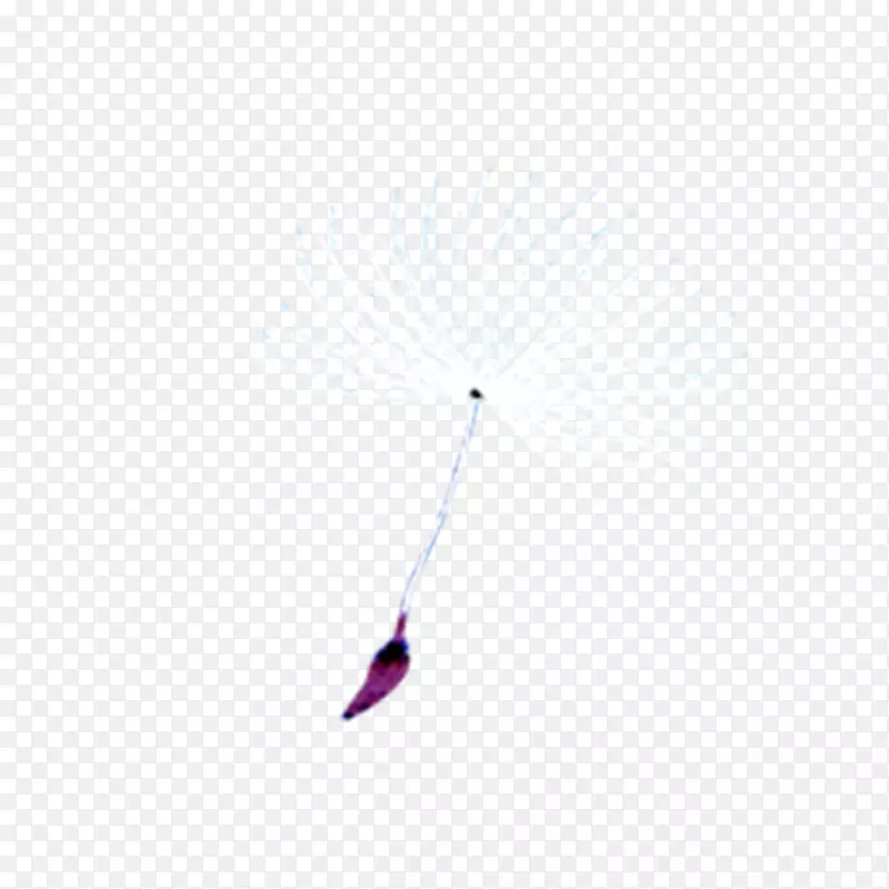 蒲公英谷歌图片-蒲公英