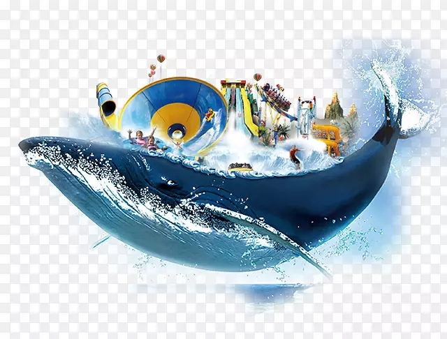 海报-浮鲸